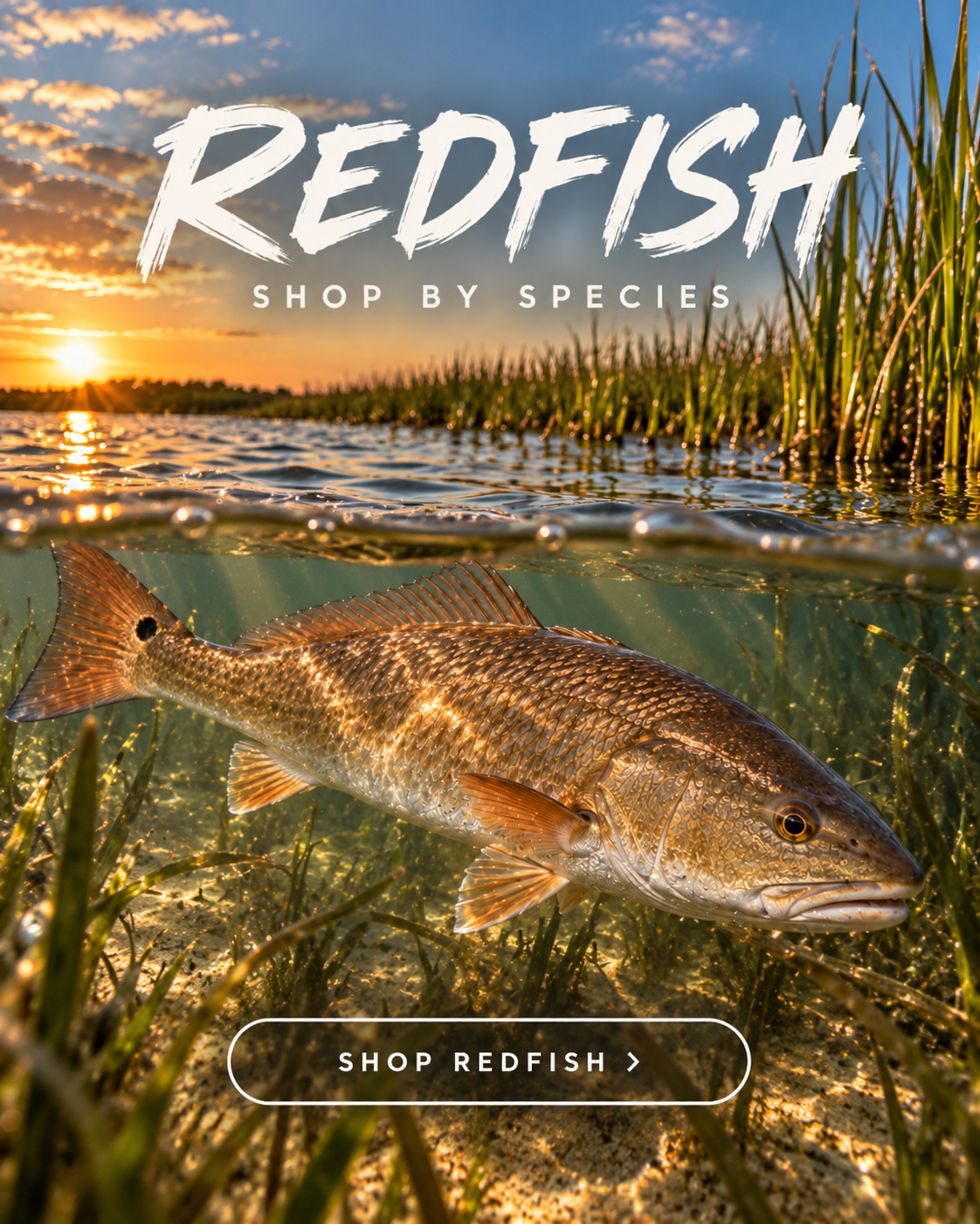Seeing Red redfish fishing hoodie