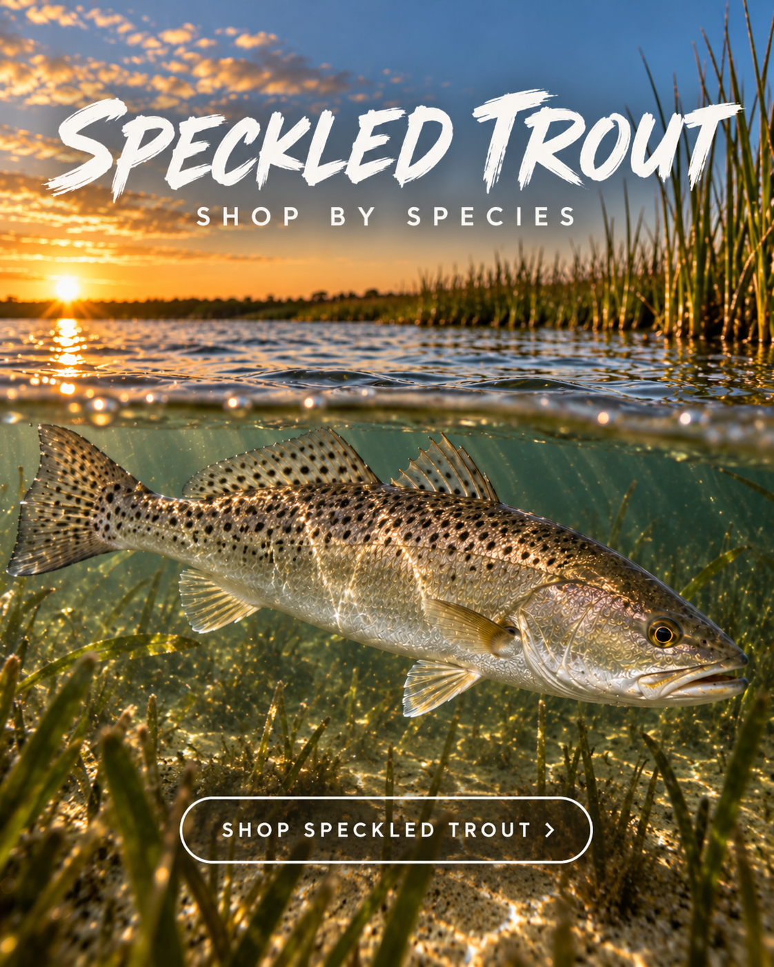 Chasing Silver speckled trout fishing hoodie