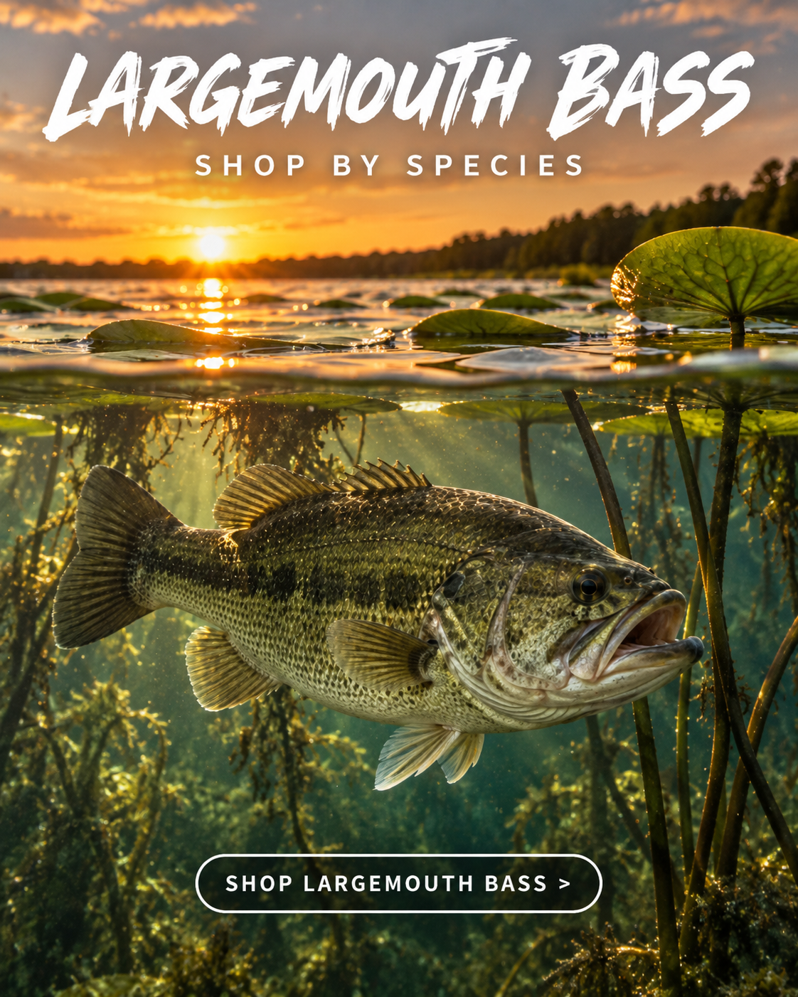 Topwater Terror largemouth bass fishing hoodie